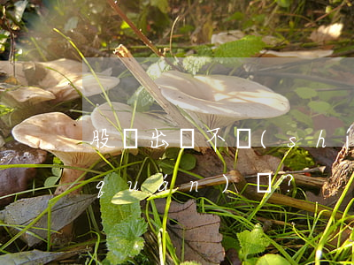 股東出資不實(shí)卻不影響分紅權(quán)？